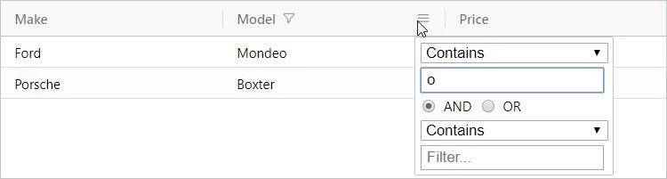 Angular grid filtering feature demo