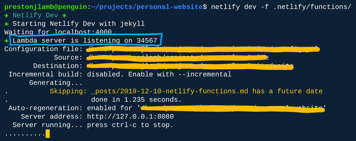 netlify dev command output